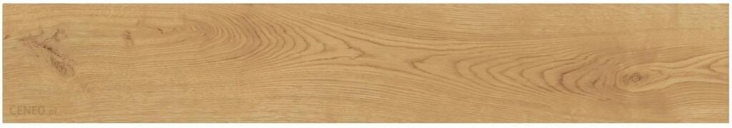 Atlas Concorde Exence Almond Rett 20×120