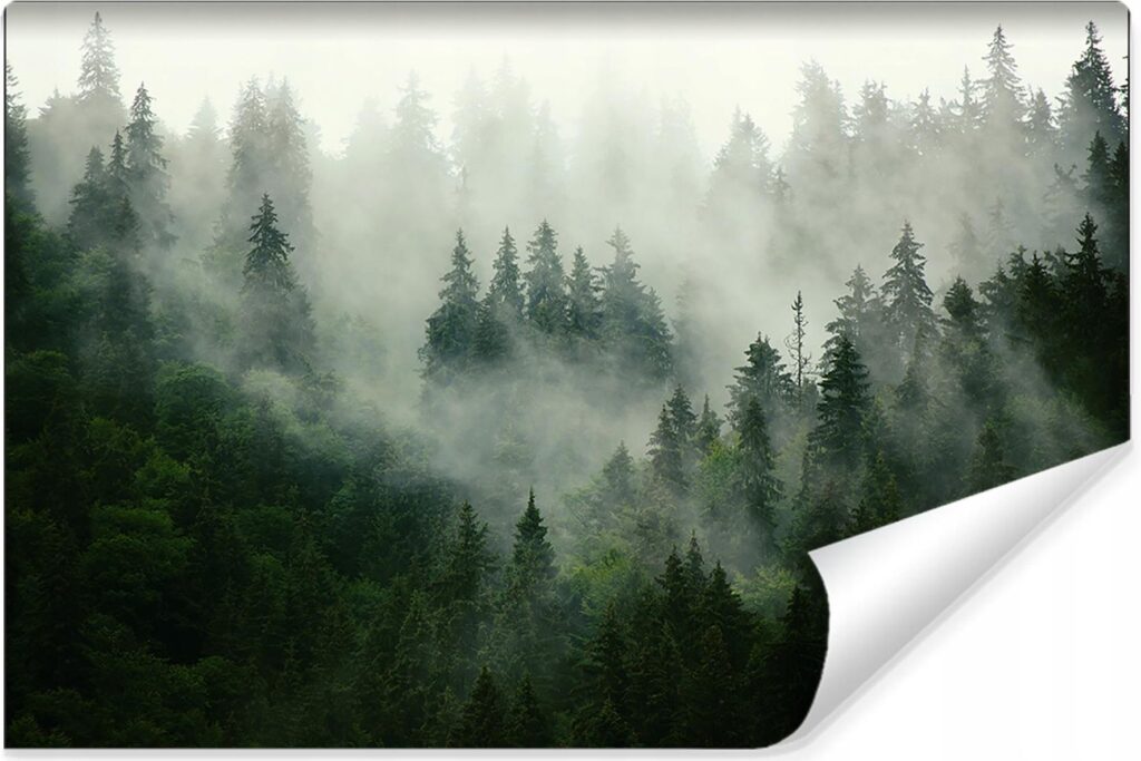 Muralo Fototapeta Ścienna Drzewa We Mgle Widok 3D 300×210