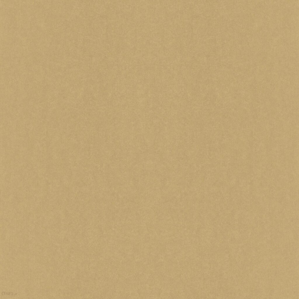 Rasch Tapeta Ścienna Kerala 501162
