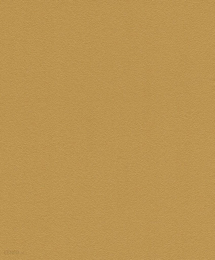Rasch Tapeta Ścienna Prego (469042)