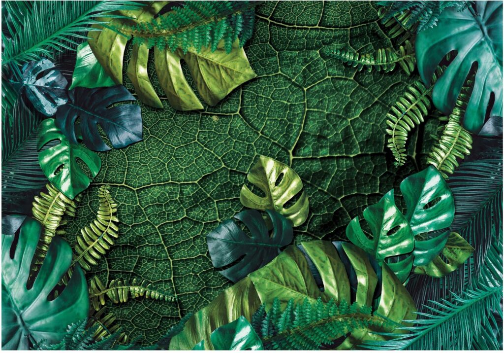 Wallarena Fototapeta Dżungla Liście Monstera Rośliny 416×254 Wallarena Fototapeta Dżungla Liście Monstera Rośliny 416×254