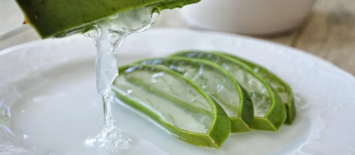 10 naturalnych składników, które rewolucjonizują pielęgnację skóry