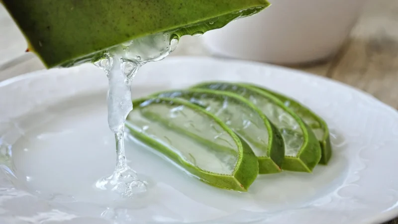 10 naturalnych składników, które rewolucjonizują pielęgnację skóry