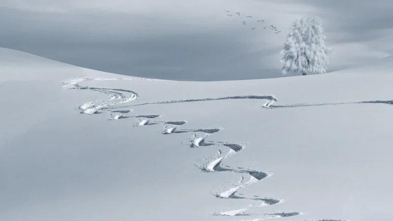 Ape Duo Snow Mix 7,5X30 Płytka Ścienna