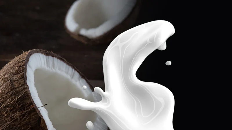 Ape Klen Gamy Coconut Milk 25×75