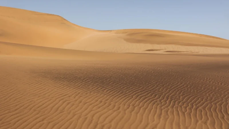 As Creation Tapeta Desert Lodge 38524-1
