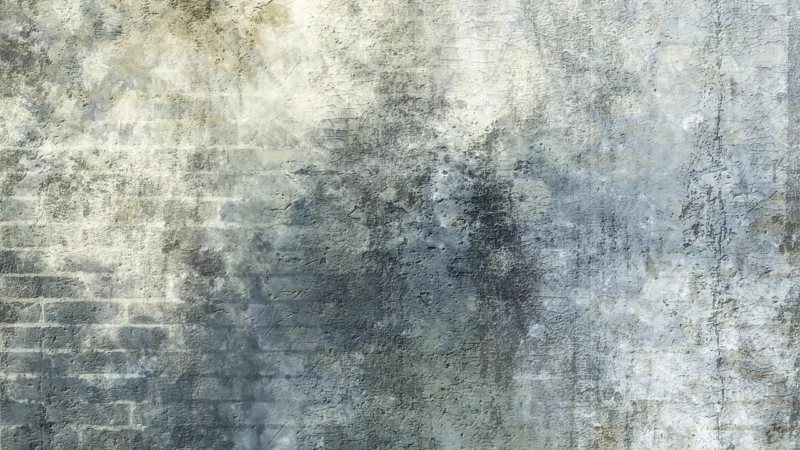 Baldocer Płytka Ścienna Hiszpańska Metallic Wild 60X120