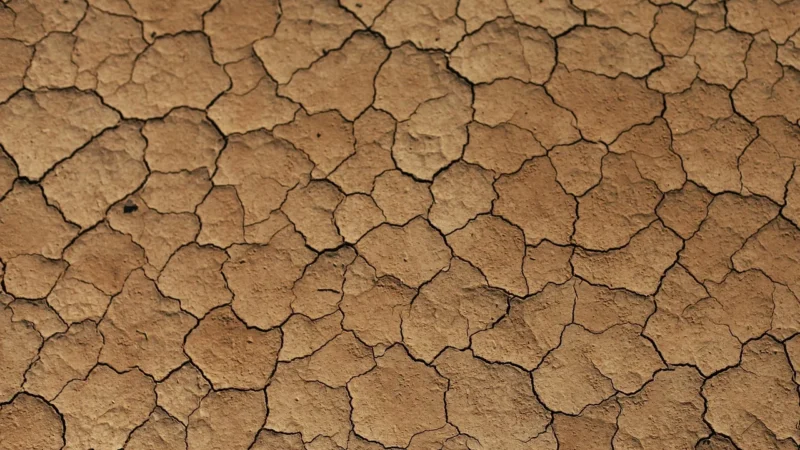 Cer-Art Gres Szkliwiony Stopnica Perseo Beige Mat 29,8X59,8