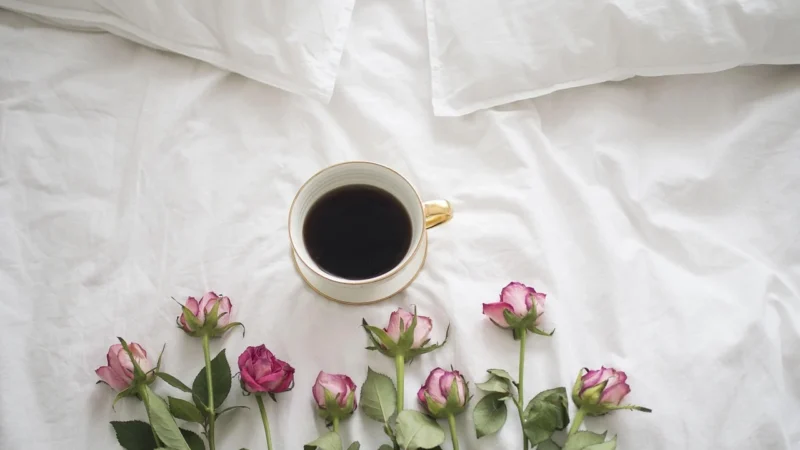 Ceramika Paradyż Happiness Grey Ściana Mat 30X60