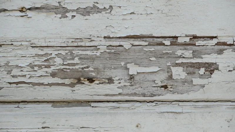 Dulux Farba Kolory Świata Designerski Biały 5L
