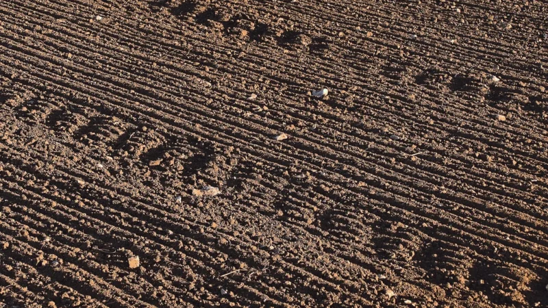 Eijffinger Tapeta Terra 391534