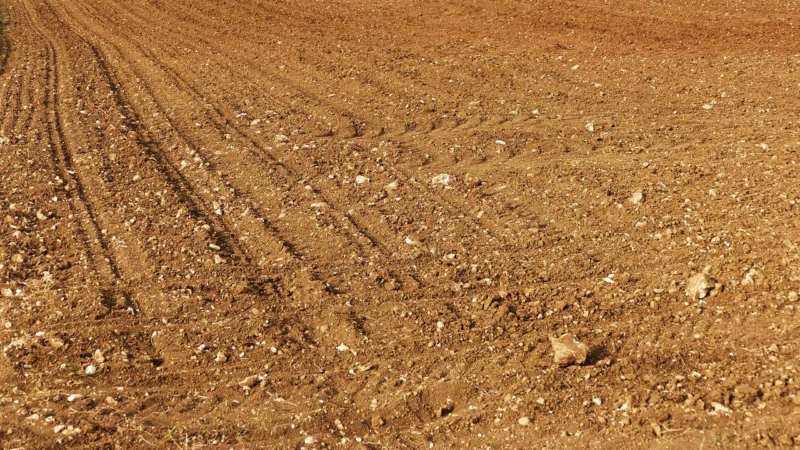 Eijffinger Tapeta Terra 391552