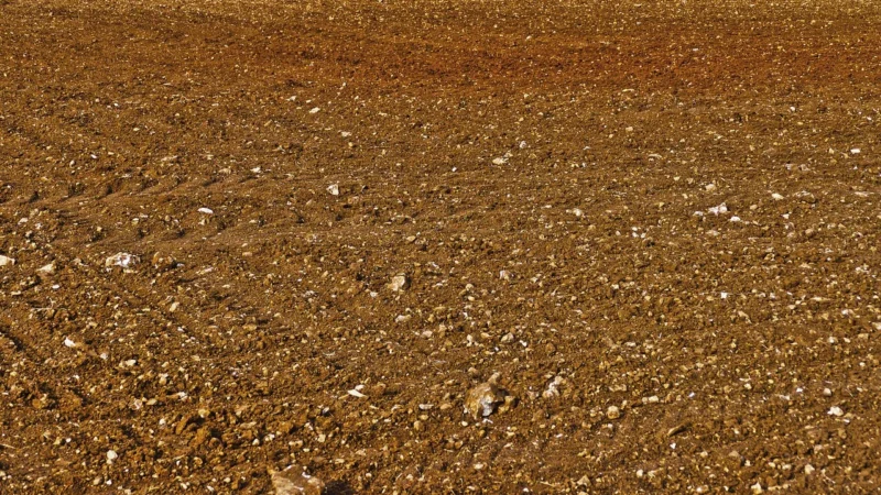 Eijffinger Tapeta Terra 391566