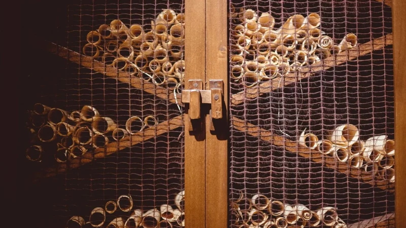 Keter Wielofunkcyjna Szafa Kis Wood Grain Utility Szaro Beżowa 1378