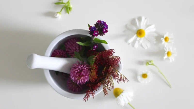Kosmetyki organiczne – tajemnica zdrowego wyglądu