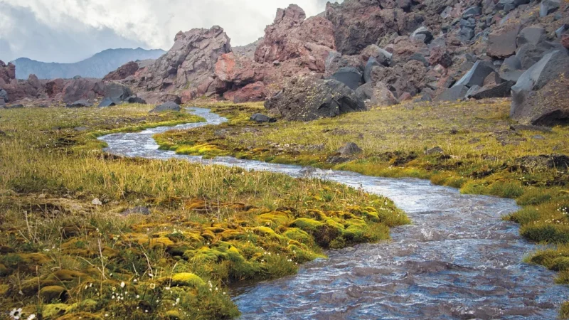 Marazzi Stream Beige 20X50 M0T8 Płytka Ścienna