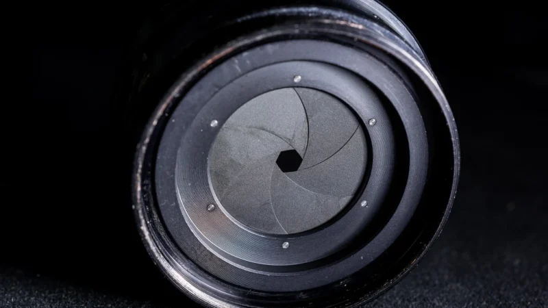 Meister Listwy Przypodłogowe Profil 3 Pk Dąb Z Pęknięciami Terra 6439