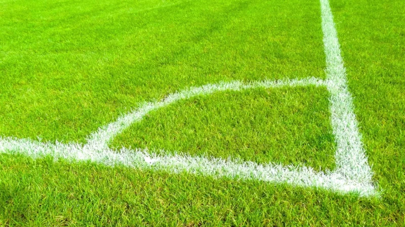 Meister Listwy Przypodłogowe Profil 7 Ćwierćwałek Biel Df 2222