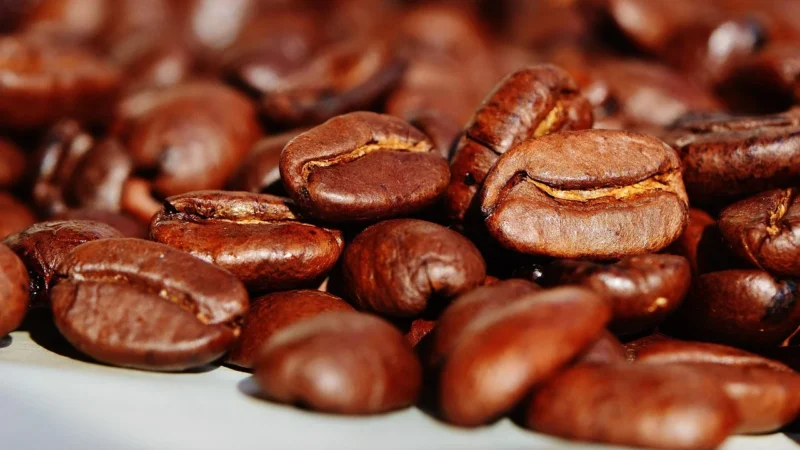 Melitta CafeBar Espresso Classic kawa mielona 250g