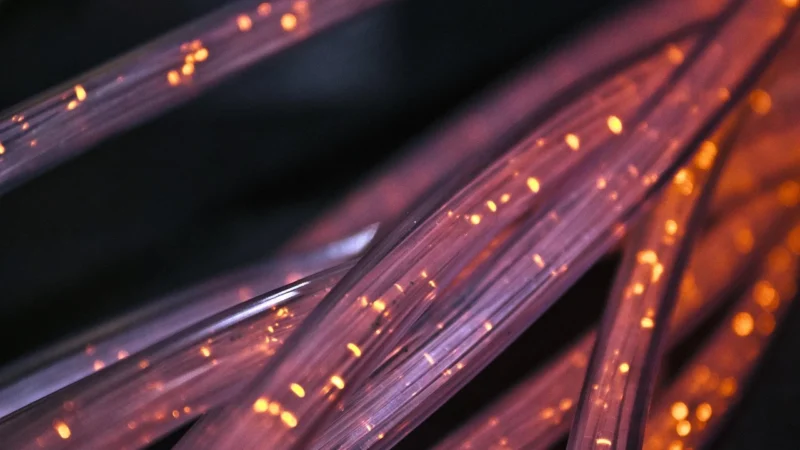Ospel Netik – perfekcyjne gniazdo internetowe do Twojej instalacji elektrycznej