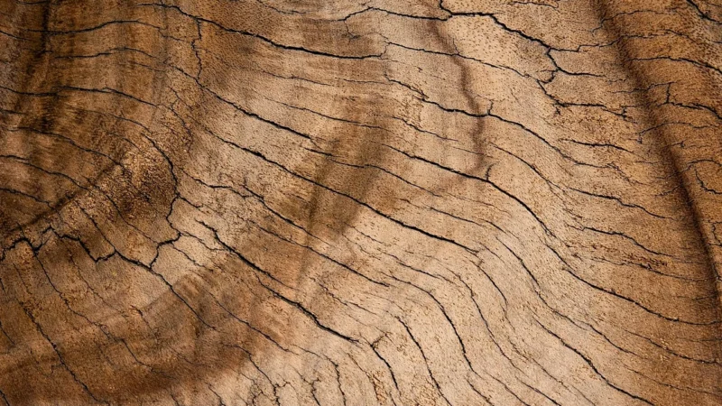 Panele podłogowe Krono Original Flamenco Oak Kronostep Spc Flooring Wide R110