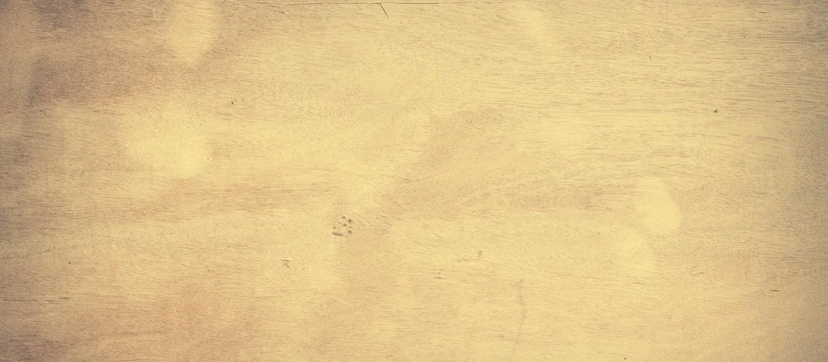 Panele podłogowe Pergo Modern Plank Pro Dąb Nadmorski Podkład L023103374