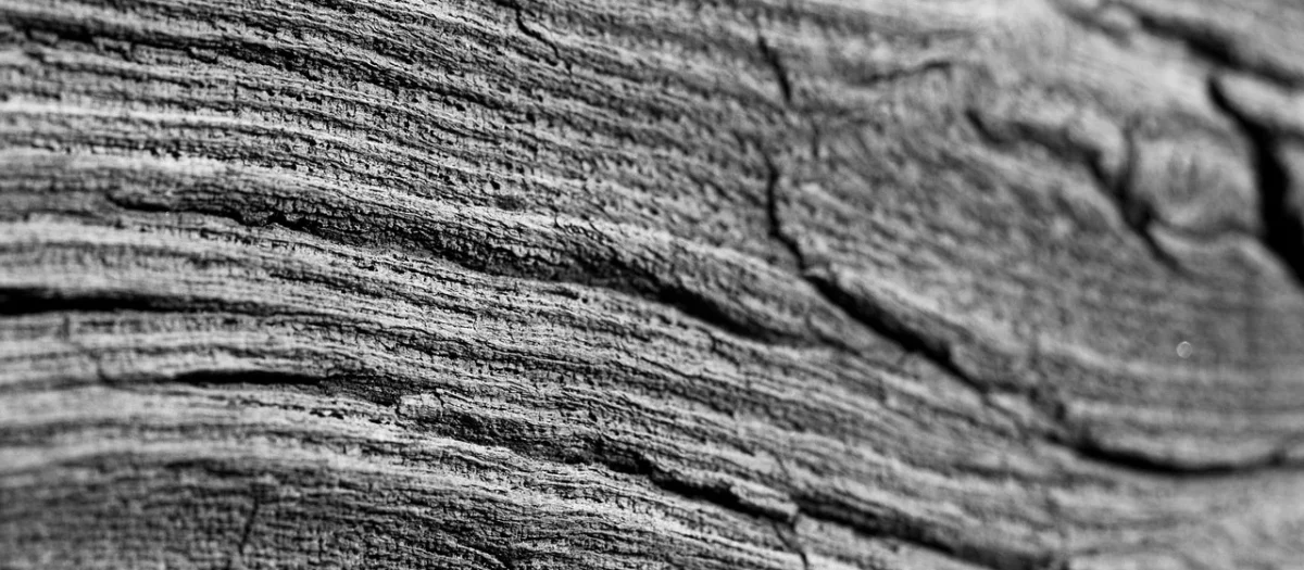 Panele podłogowe Quick-Step Dąb Burza Piaskowa Ciepłoszary Pulse Glue Plus PUGP40083