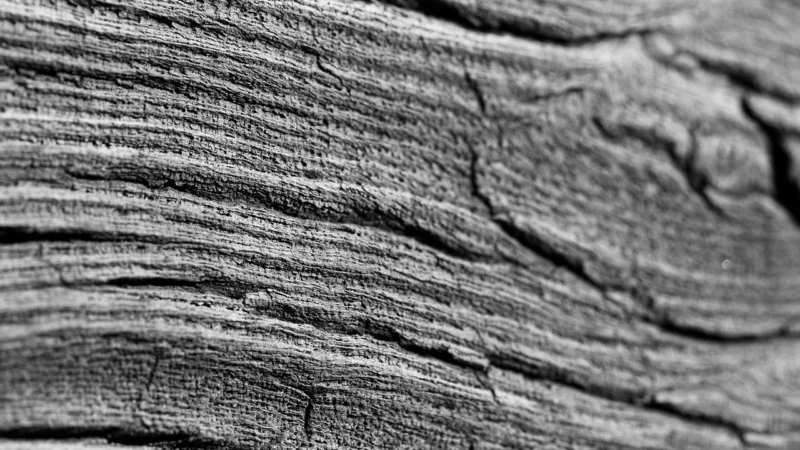 Panele podłogowe Quick-Step Dąb Burza Piaskowa Ciepłoszary Pulse Glue Plus PUGP40083