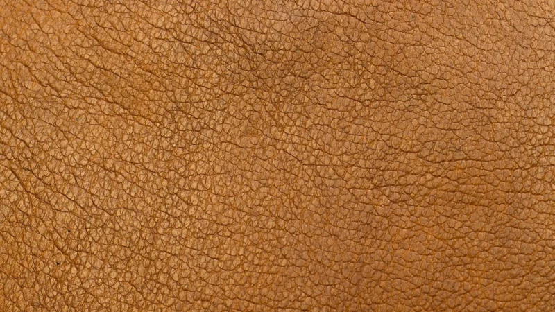 Rasch Out Of Africa 715477 Skóra