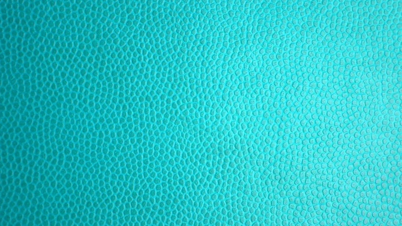 Rasch Tapeta Imitacja Skóry Cosmopolitan 576603