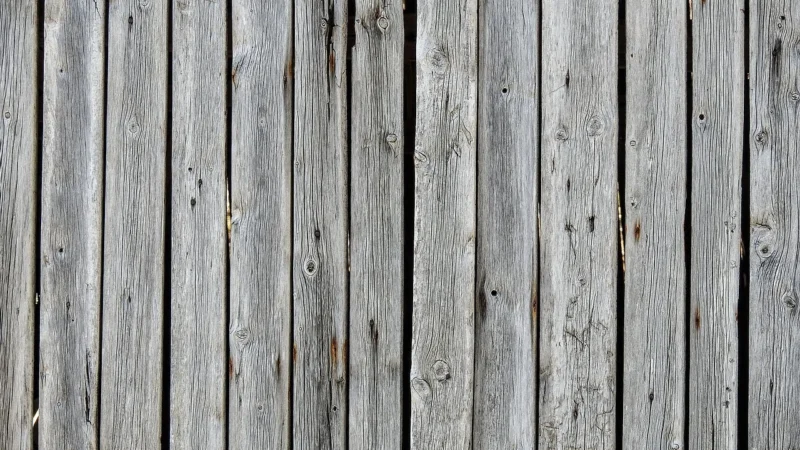 Rasch Tapeta Trees Winylowa Na Flizelinie Szara