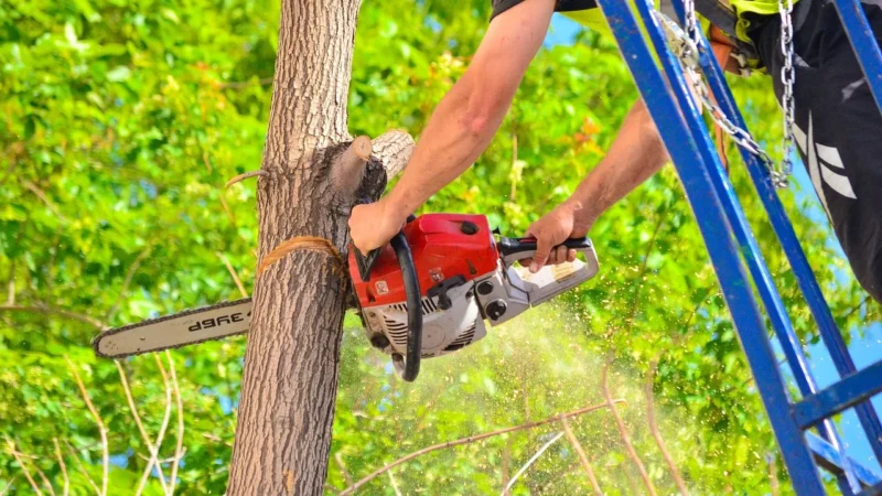 Stihl MS 341