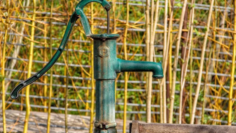 Vaillant Pompa Kondesatu Ecol Evel (306287)