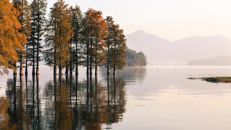 Wallarena Fototapeta Góry 3D Mgła Las Jezioro Natura 416×254